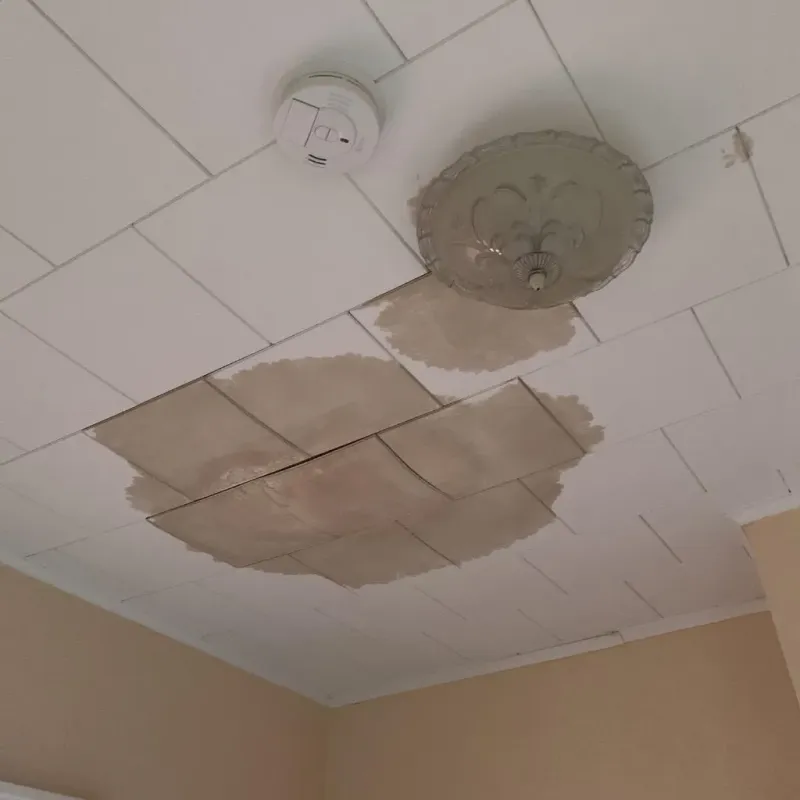 Ceiling Water Damage Repair in Annandale, MN
