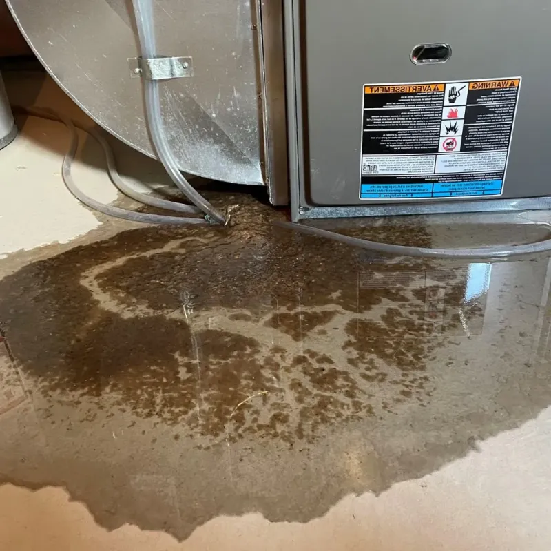 Pipe Burst and Leak Restoration in Annandale, MN